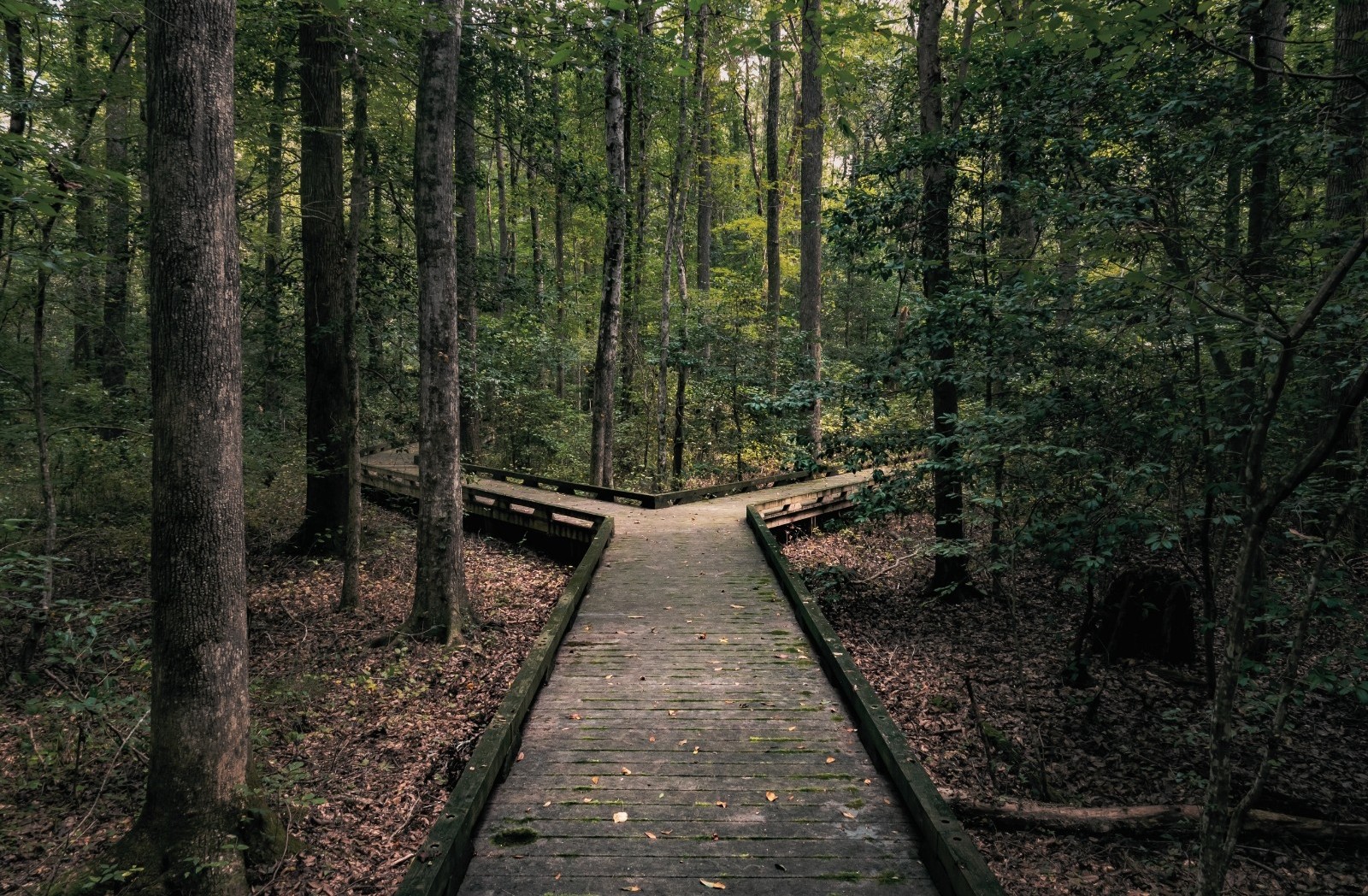 Crossroads